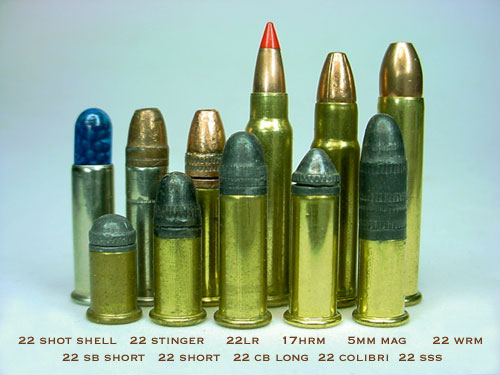.22 short subsonic ammo